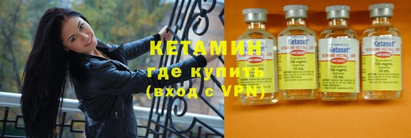 шишки Чердынь