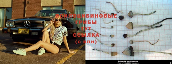 кокаин премиум Ладушкин