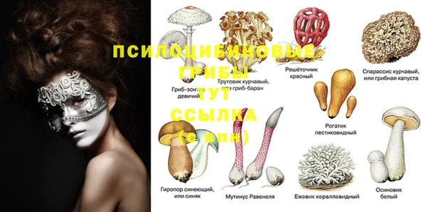 кокаин премиум Ладушкин