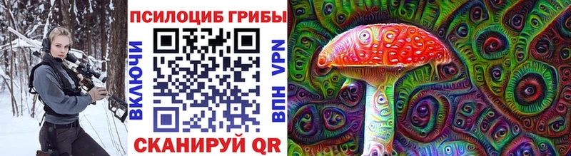 Псилоцибиновые грибы мицелий  дарк нет наркотические препараты  Эртиль  как найти  
